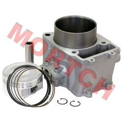 CF196S Cylinder Assy - Model MICF0600-6003