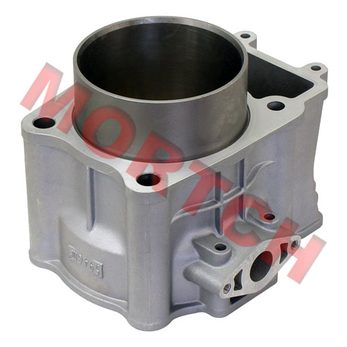 CF196S Cylinder Block - Model MICF0600-023100