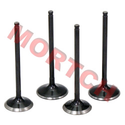 Inlet/Exhaust Valve - Model MICF0600-02200A