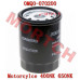 CFMoto CF400NK CF650 Oil Filter - Model MICF0MQ0-070200-10001 CFMoto Oil Filter 0MQ0-070200 | CF400NK CF650NK CF650TR CF650MT OEM