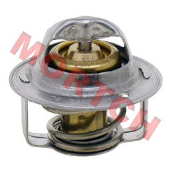 Thermostat - Model MICF0700-022500-0001