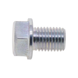 Drain Screw Plug - Model MICF0110-013005-00002