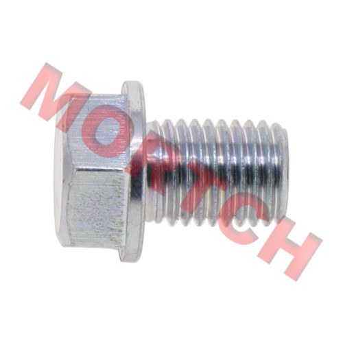 Drain Screw Plug - Model MICF0110-013005-00002