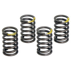 Valve Spring - Model MICF0800-022006-10000