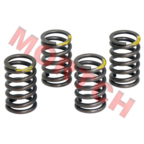 Valve Spring - Model MICF0800-022006-10000