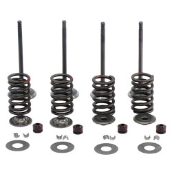 Intake & Exhaust Valve Assy - Model MICF800-6027