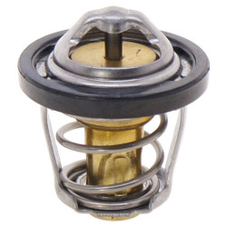 Thermostat - Model MICF0800-022700