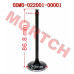 Air Intake / Exhaust Valve - Model MICF0DM0-02200A-00001 air intake valve, exhaust valve, CFMoto valves, 0DM0-022001-00001, 0DM0-022002-00001, CF250 valve, CF300 valve, 172MM-2 engine parts, 178MN-A engine, inlet valve, exhaust valve set, CFMoto engine parts, valve replacement, engine rebuild parts, ATV engine