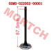 Air Intake / Exhaust Valve - Model MICF0DM0-02200A-00001 Brand new replacement air intake and exhaust valve set for CFMoto CF250-A and CF300 engines. Package includes 2 air inlet valves (0DM0-022001-00001) and 2 air exhaust valves (0DM0-022002-00001) manufactured to OEM specifications. Compatible with 172MM-2,