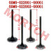 Air Intake / Exhaust Valve - Model MICF0DM0-02200A-00001 Air Intake Exhaust Valve Set - OEM 0DM0-022001/022002 | CFMoto CF250 CF300 172MM-2 178MN-A Engine ATV UTV Parts