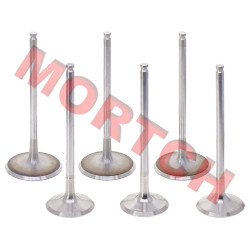 Air Intake / Exhaust Valve - Model MICFC9003603A000 Air Intake / Exhaust Valve - Model MICFC9003603A000