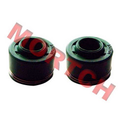 CG Oil Seal of Valve - Model MICG125-1011 CG Oil Seal of Valve - Model MICG125-1011
