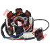 gy6 8 pole stator, 5 wire stator, stator magneto, gy6 50cc stator, 139qmb stator, scooter stator, gy6 stator generator, 125cc 150cc stator, 8 coil stator, gy6 electrical parts