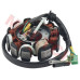 Premium 11-pole stator magneto generator for GY6 125cc-150cc 4-stroke engines (152QMI, 152QMJ, 157QMI, 157QMJ). DC fired, 88mm diameter, 29mm center hole, 41mm mounting bolts. High-quality replacement stator.
